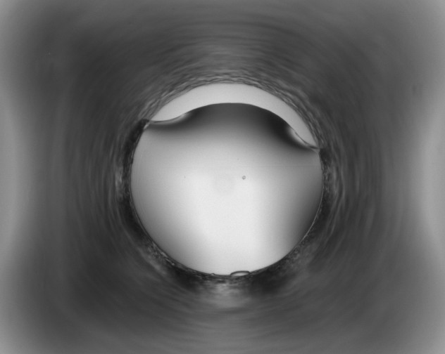 X0000084040564200703092034