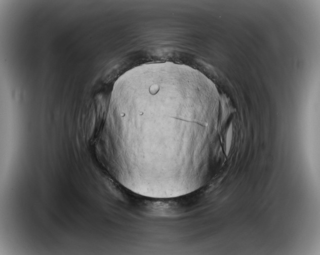 X0000084040566200703092034