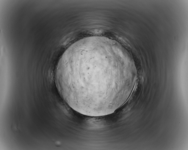 X0000084040568200703092034