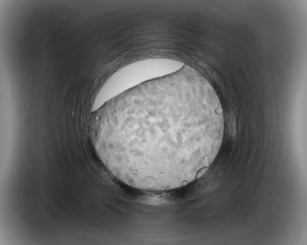 X0000084040569200703092034