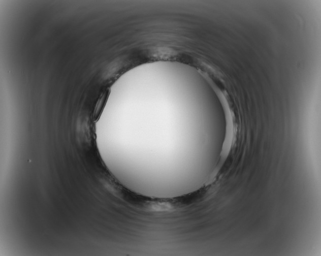 X0000084040572200703092034