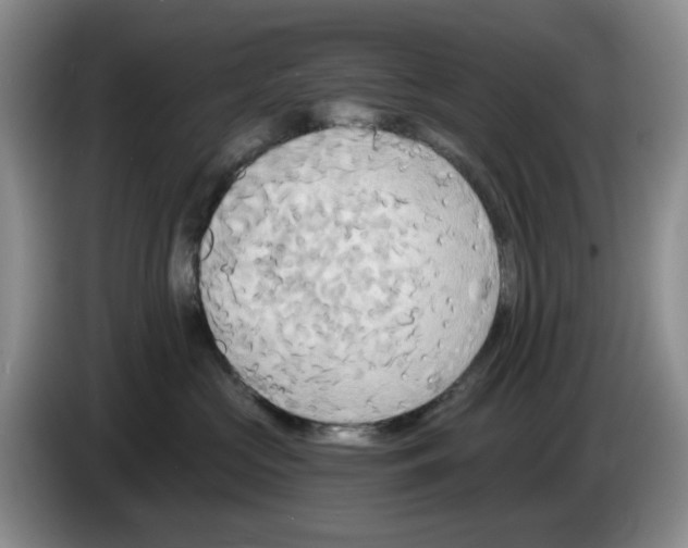 X0000084040573200703092034