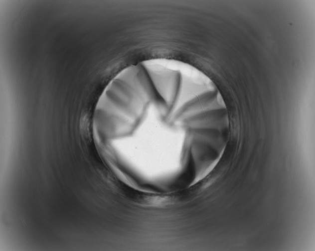 X0000084040575200703092034