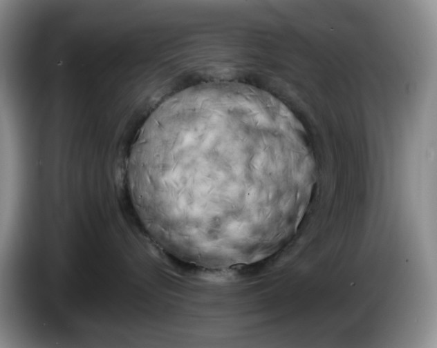 X0000084040576200703092034