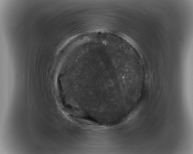 X0000084040577200703092033