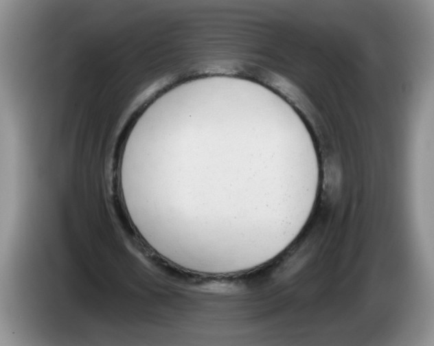 X0000084040578200703092033