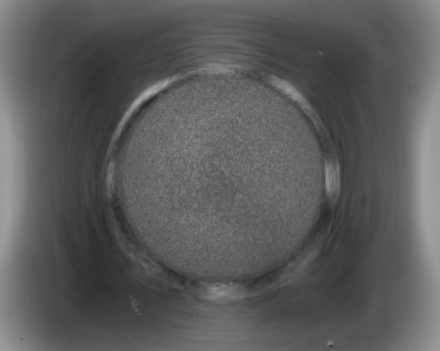 X0000084040579200703092033