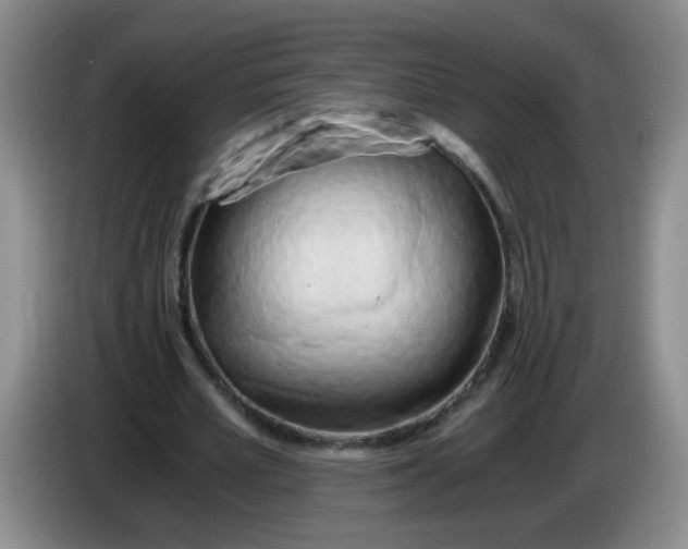 X0000084040581200703092033