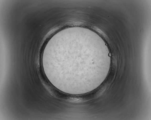 X0000084040582200703092033