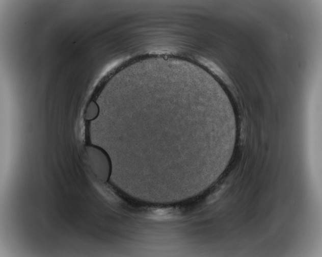 X0000084040584200703092033