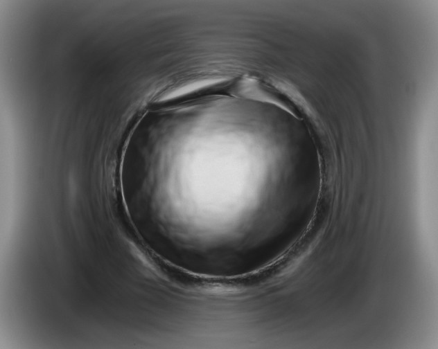 X0000084040585200703092033