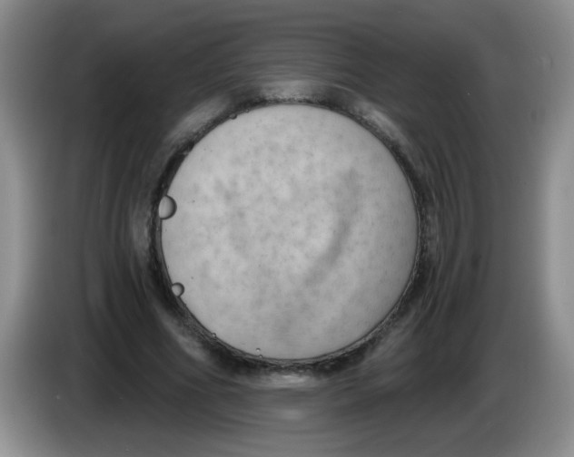 X0000084040586200703092033