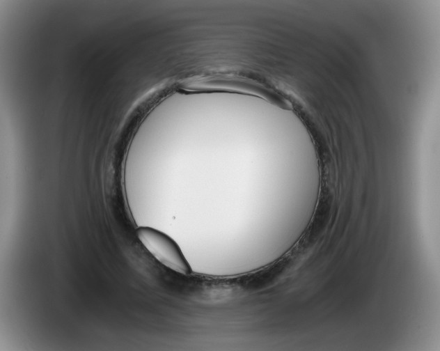 X0000084040587200703092033