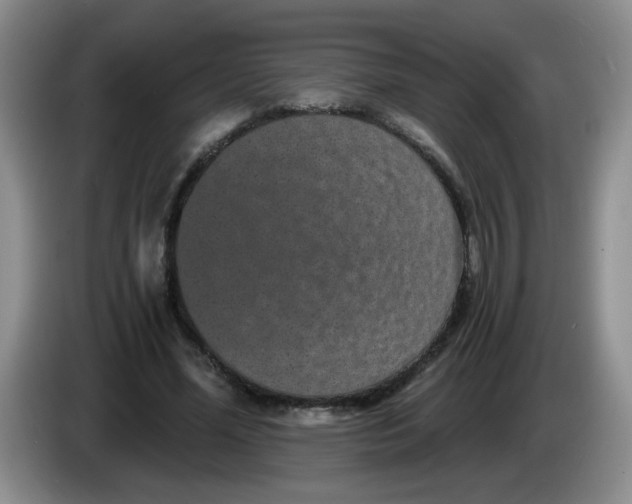 X0000084040588200703092033