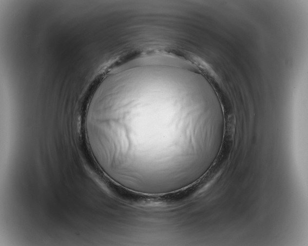 X0000084040589200703092033