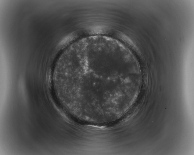 X0000084040590200703092033