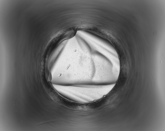 X0000084040591200703092033