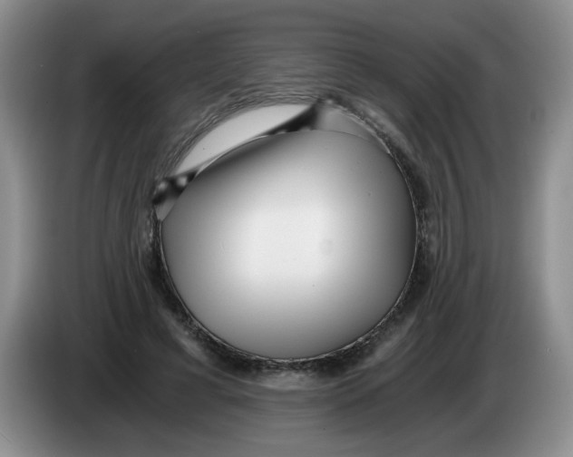 X0000084040593200703092033