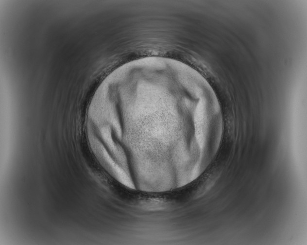 X0000084040594200703092033