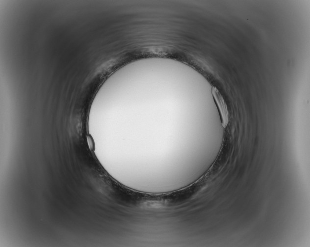 X0000084040595200703092033