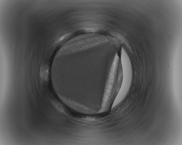 X0000084040596200703092033