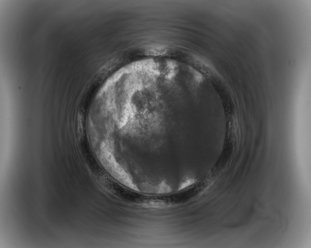 X0000084040598200703092033