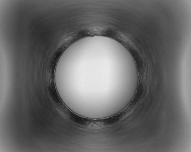 X0000084040599200703092033