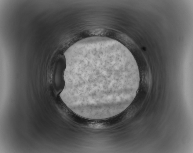 X0000084040602200703092033