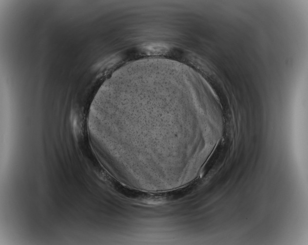 X0000084040604200703092033