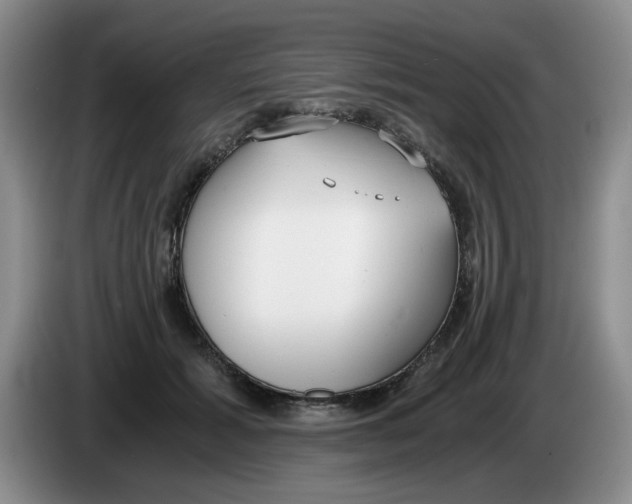 X0000084040605200703092033