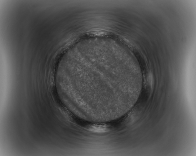 X0000084040606200703092033