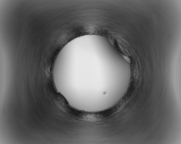 X0000084040611200703092033