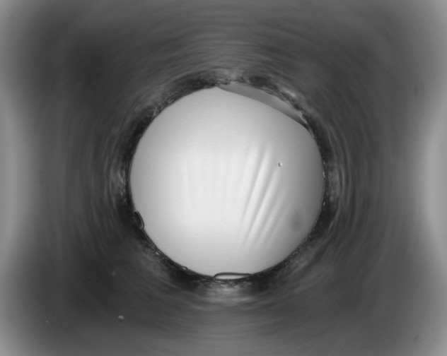 X0000084040613200703092033