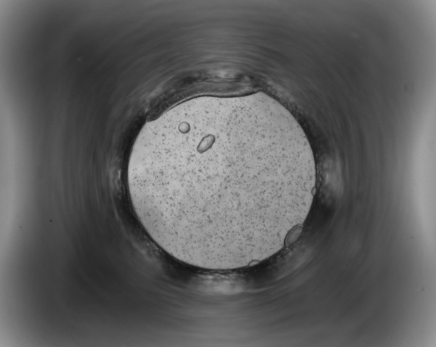 X0000084040615200703092033