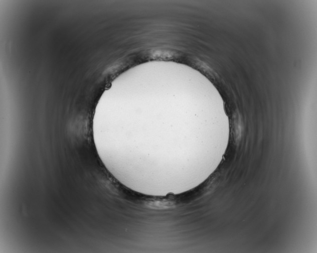 X0000084040619200703092033