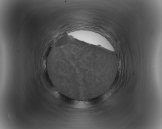 X0000084040621200703092033