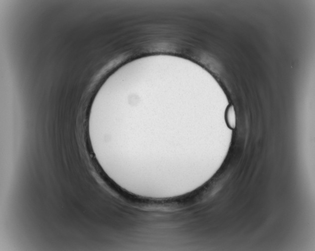 X0000084040625200703092032