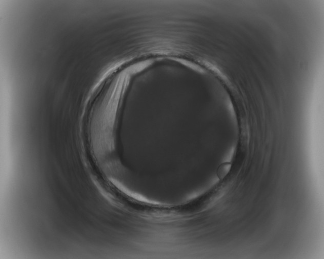 X0000084040626200703092032