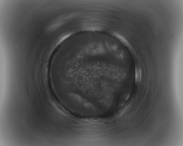 X0000084040627200703092032