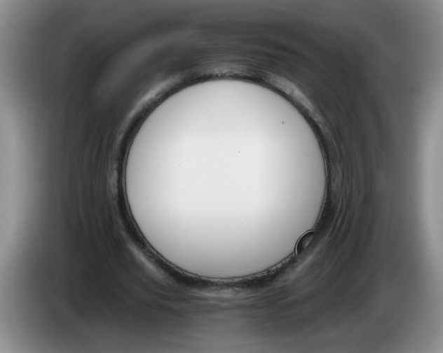 X0000084040629200703092032