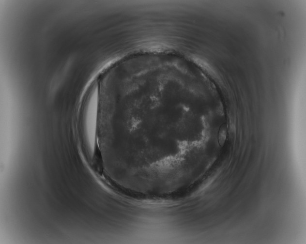 X0000084040630200703092032