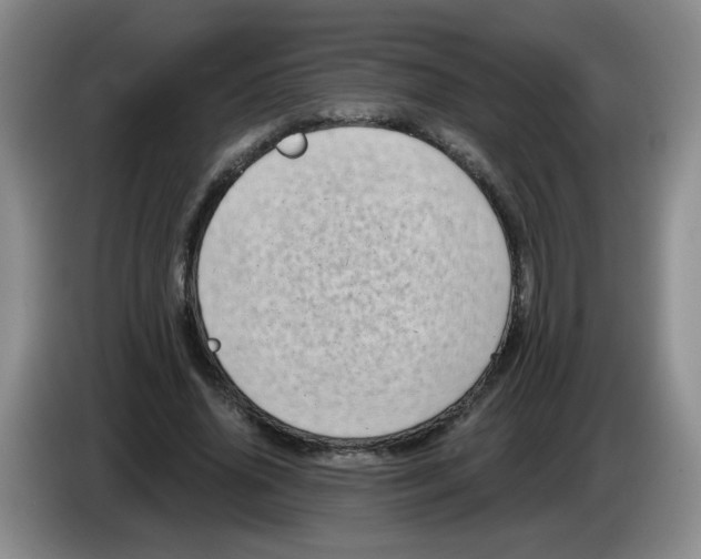 X0000084040636200703092032