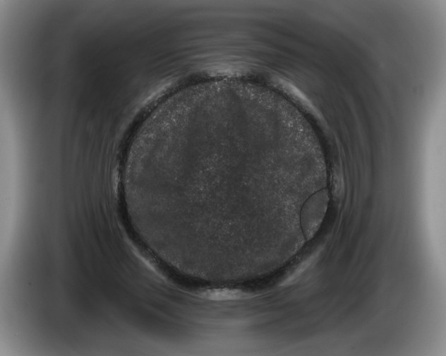 X0000084040637200703092032