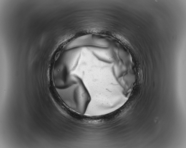 X0000084040638200703092032