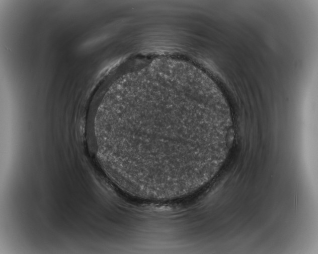 X0000084040640200703092032