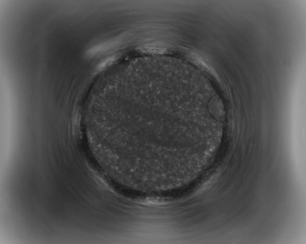 X0000084040641200703092032