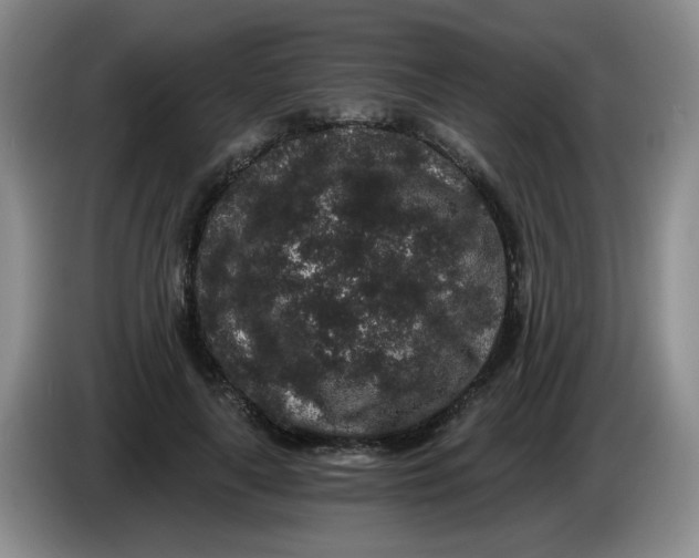 X0000084040643200703092032