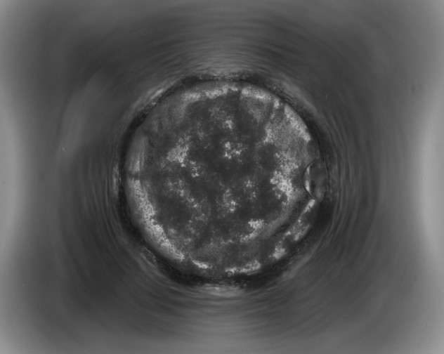 X0000084040644200703092032