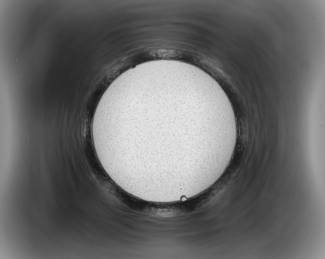 X0000084040645200703092032