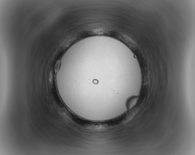 X0000084040646200703092032